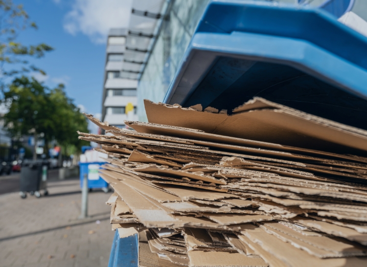 Protected: Wasteology Earns Gold Medal in First-Ever EcoVadis Assessment