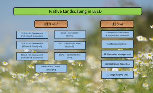 Native Landscaping LEED chart