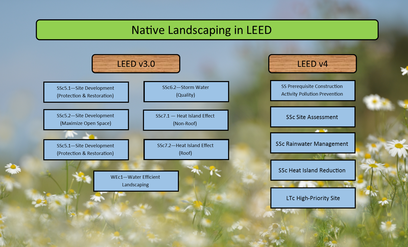 Leed Chart