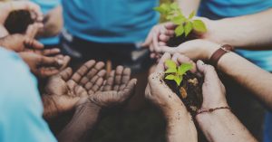 volunteers planting