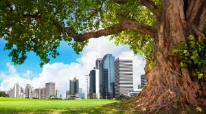 cityscape with tree